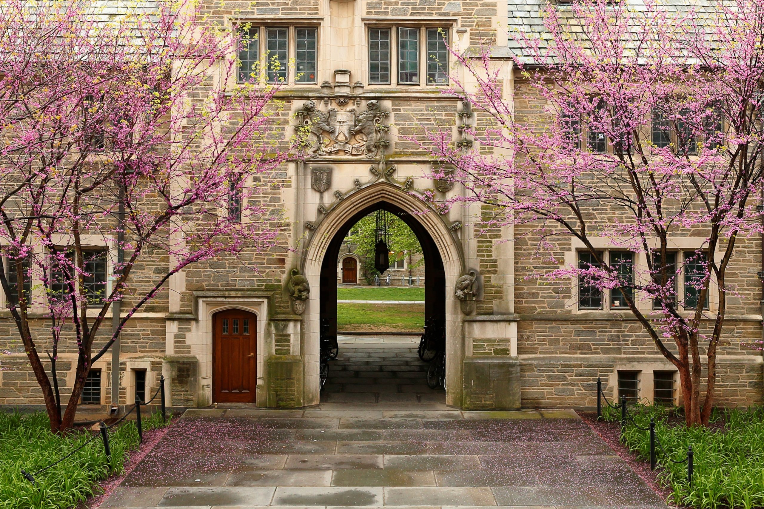 Princeton University Building