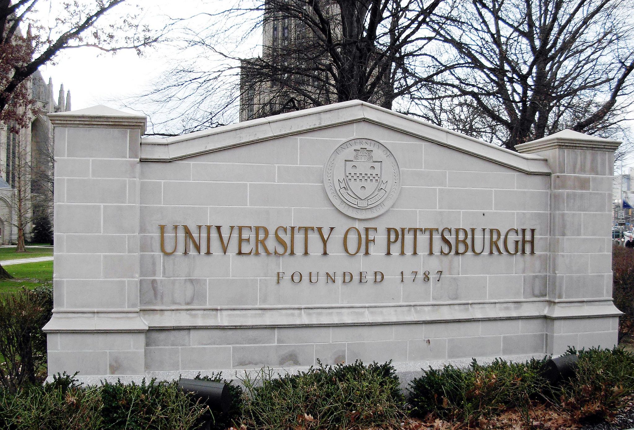 University Of Pittsburgh Admissions Application Counseling Empowerly