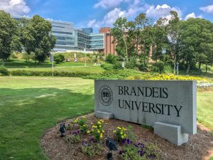 Brandeis University university sign