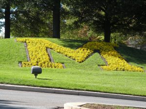 University of Maryland M on a hill of grass