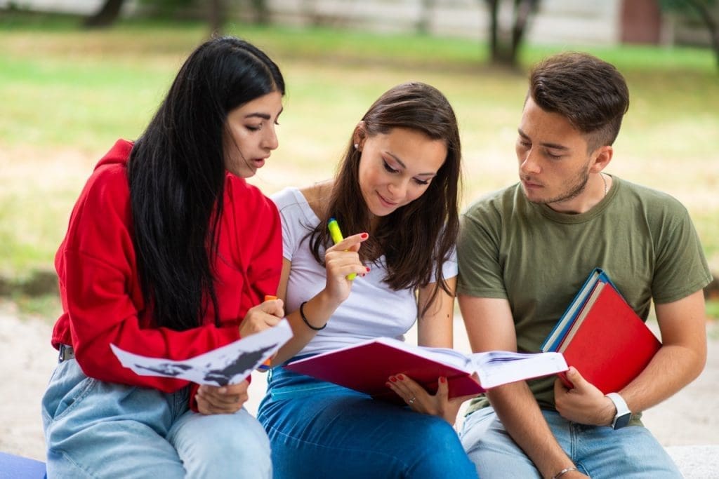 students studying outdoors