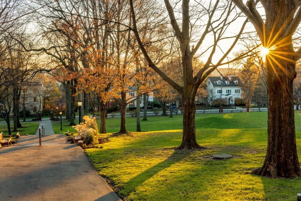 college campus view in the evening