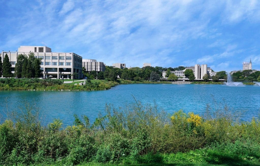 northwestern university campus