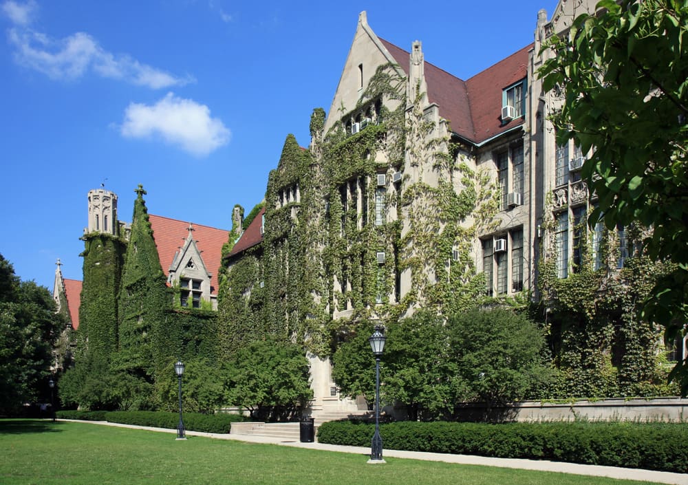 how to get into a ivy
