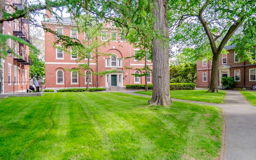 how to get into harvard