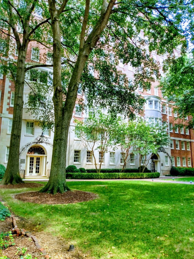 how to get into emory