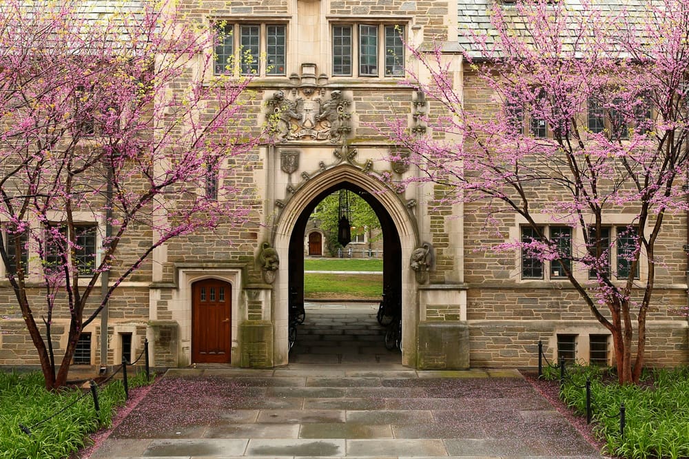 how to get into princeton