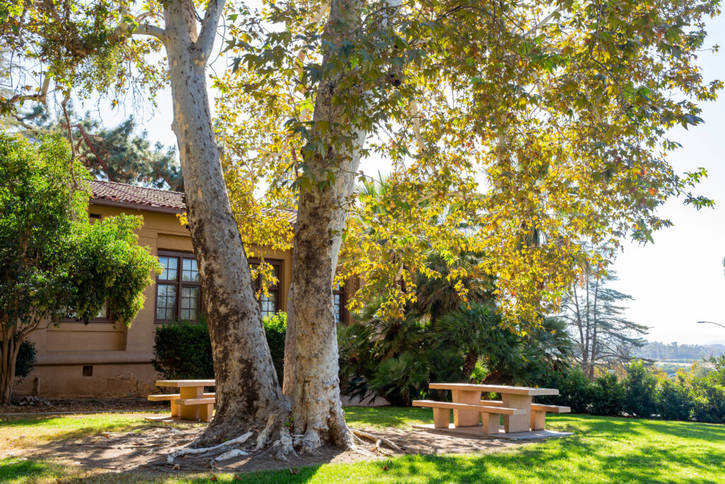 UC Riverside is part of the UC system