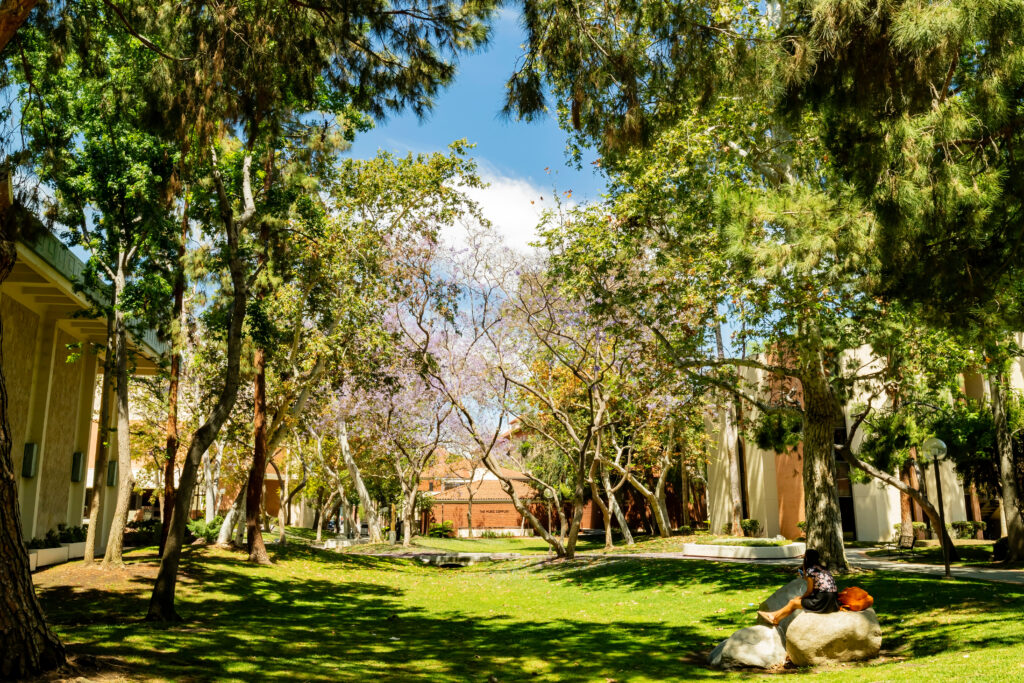 Sunny view of the campus of the University of Southern California at Los Angeles